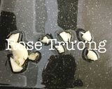 Hình bước làm 3 của món Trứng Chiên Lá Ngải Cứu