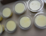 Foto langkah ke 3 dari resep Silky Puding Ekonomis.