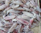 Hình bước làm 1 của món Canh bầu nấu mực