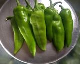 ભરેલા મરચા (stuffed chilli recipe in Gujarati) રેસીપી સ્ટેપ1ફોટો
