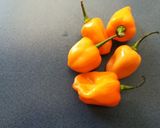 Foto del paso 5 de la receta: Chile habanero curtido con cebolla
