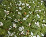 नारियल मटर बर्फी(nariyal matar barfi recipe in hindi) रेसिपी चरण 8 फोटो