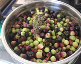 Foto del paso 5 de la receta: Aceitunas en adobo con sosa caústica
