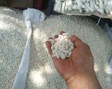 A picture of step 1 of Jaynagere Moa.