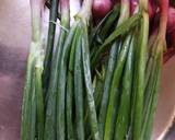 Spring onion with tawa coriander naan recipe step 1 photo