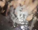 A picture of step 2 of Qeema Naan.