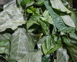 Foto langkah ke 1 dari resep Sayur Bening Bayam.