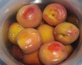 صورة لخطوة 1 من وصفة عصير راني بالخواخ 🍑🍹