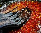 মিষ্টি লঙ্কার সস / ন্যাম জিম লুক সিন(Thai Sweet chili sauce recipe in Bengali) রেসিপির ধাপ 5 ছবি