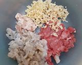 A picture of step 1 of Shrimp Pork Shumai.