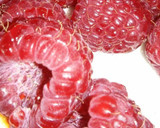 Foto del paso 4 de la receta: Chupitos de fresa y algas