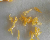 Foto del paso 2 de la receta: Ensalada de alubias blancas