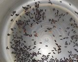 A picture of step 1 of Chia Seeds in Red Drink.