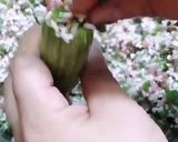 صورة لخطوة 1 من وصفة كوسى باللبن على طريقة إمي الله يرحمها