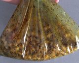Foto del paso 2 de la receta: Snack de garbanzos especiados (saludable)