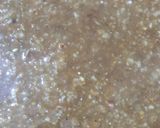 ওটস নলেন গুড়ের পায়েস (Oats Nalen Gurer Payes Recipe in Bengali) রেসিপি ধাপ - 4 ছবি