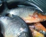 Foto langkah ke 1 dari resep Sayur ikan bawal nyomok kuning cabe ijo (ikan bawal di kuningin).