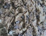 صورة لخطوة 6 من وصفة كيكة النسكافيه coffee cake