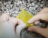 Grape Leaves Dolma 2 recipe step 4 photo
