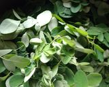 முருங்கை இலை பெப்பர் சூப் ரெசிபி ஸ்டேப் 1 புகைப்படம்