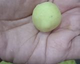 Foto langkah ke 2 dari resep BoBi.. Bola-Bola Ubi (Kopong).