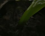 Foto langkah ke 3 dari resep Jelly Cincau Pandan.