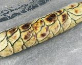 Une image de l'étape 2 de Roulé de courgettes à la ricotta.