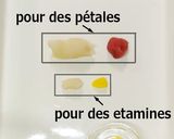 Une image de l'étape 6 de Nerikiri Wagashi: 