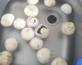 Gombamártás 🍄 recept fázis 1 fotója