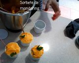 Foto del paso 4 de la receta Sorbete de Mandarina sin Azúcar de Paufeel