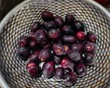 A picture of step 1 of Jamun Popsicle.