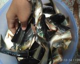 Foto langkah ke 1 dari resep Salabance ikan Patin.