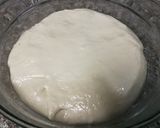 A picture of step 9 of Perfect Pizza dough.
