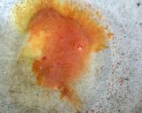 A picture of step 3 of Egg potato curry.