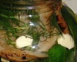 Kovászos uborka recept fázis 3 fotója