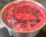 Foto del paso 3 de la receta Melmelada de mores
