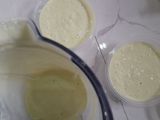 Avocado and Banana Frozen Yogurt recipe