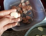 عکس مرحله 2 از دستور باقالی خورشت با لوبیا عروس
