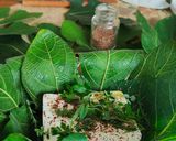 Foto del passaggio 3 della ricetta Feta al cartoccio con foglie di fico