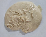 Foto del paso 6 de la receta: Rolles de Canela