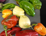Foto del paso 1 de la receta: Pimientos fritos