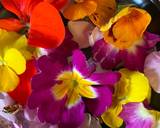 Edible flower cookies recipe step 3 photo