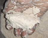 A picture of step 1 of Litti Chokha....bihar famous.