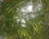 Foto langkah ke 5 dari resep Tumis Kangkung Sederhana.