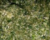 Okro Soup recipe step 2 photo