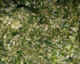 A picture of step 2 of Okro Soup.