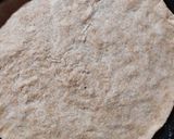 Foto del paso 3 de la receta: Pan de pizza saludable sin sal