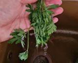 Foto del paso 3 de la receta: 48. Pez Espada con salsa verde