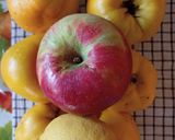 Birsalmakrém leves (vegán/vegetáriánus/laktóz-, cukor és gluténmentes) recept fázis 1 fotója