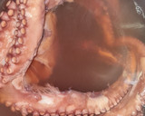 Foto del paso 2 de la receta: Pulpo a la gallega